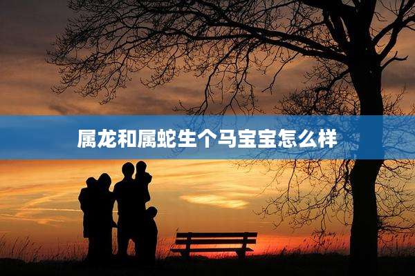 属龙和属蛇生个马宝宝怎么样
