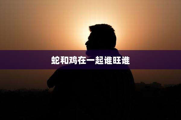 蛇和鸡在一起谁旺谁