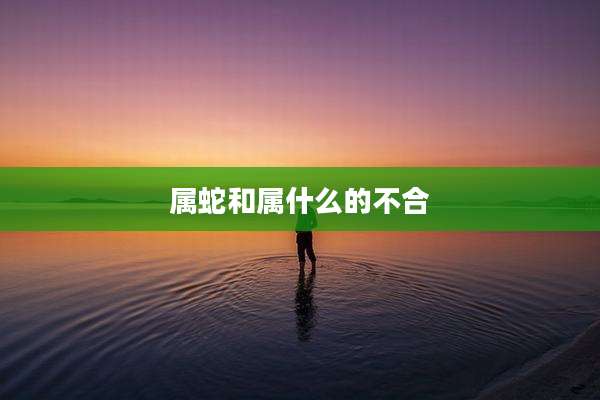 属蛇和属什么的不合