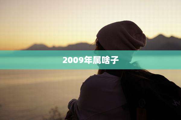 2009年属啥子
