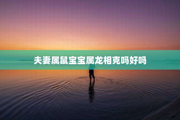 夫妻属鼠宝宝属龙相克吗好吗