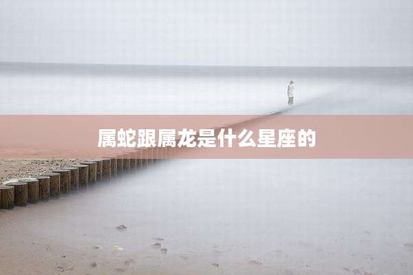 属蛇跟属龙是什么星座的