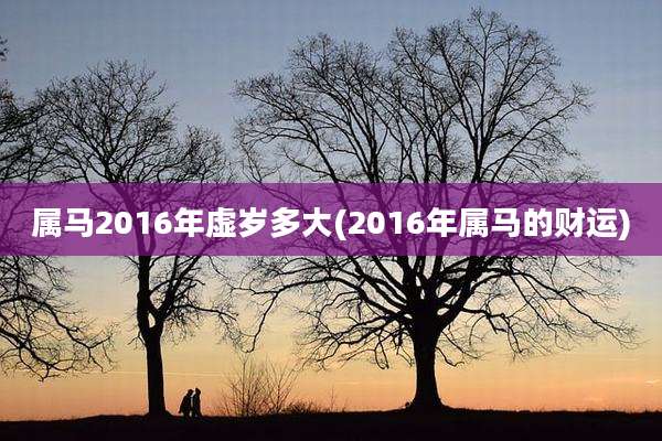 属马2016年虚岁多大(2016年属马的财运)