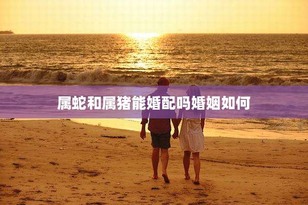 属蛇和属猪能婚配吗婚姻如何