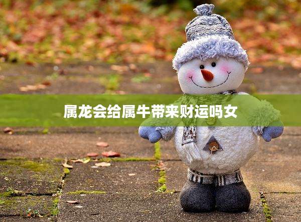 属龙会给属牛带来财运吗女