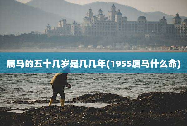 属马的五十几岁是几几年(1955属马什么命)