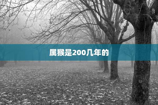 属猴是200几年的