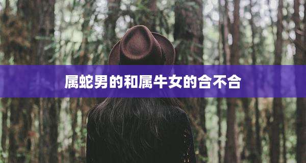 属蛇男的和属牛女的合不合