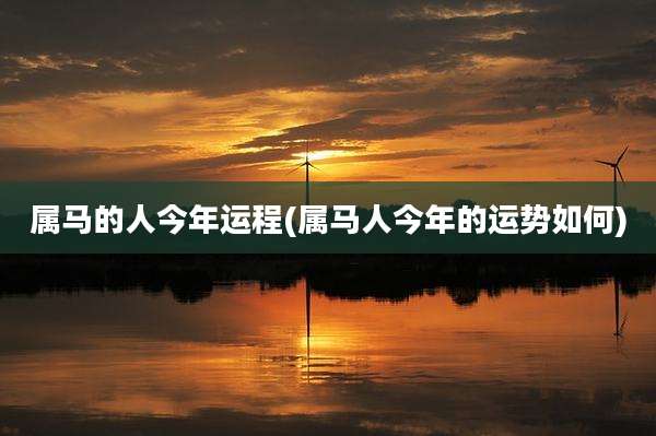 属马的人今年运程(属马人今年的运势如何)