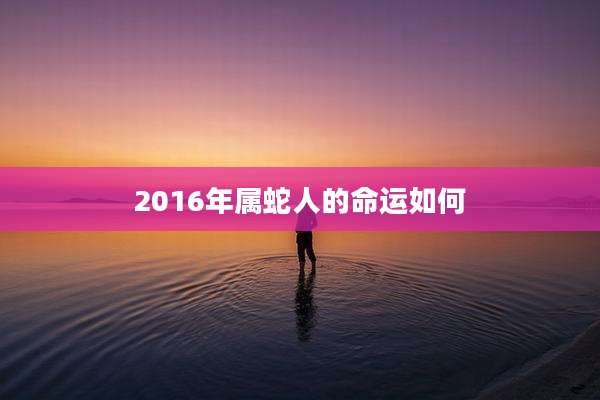 2016年属蛇人的命运如何