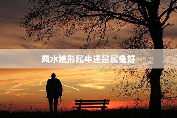 风水地形属牛还是属兔好