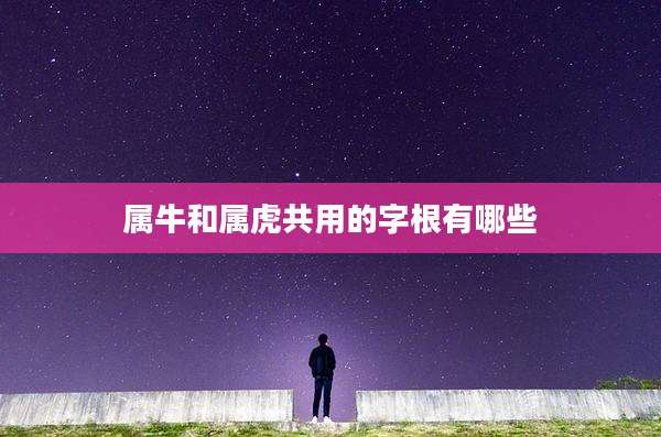 属牛和属虎共用的字根有哪些