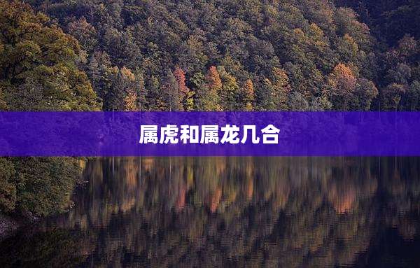 属虎和属龙几合