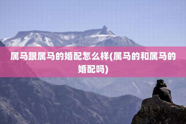 属马跟属马的婚配怎么样(属马的和属马的婚配吗)