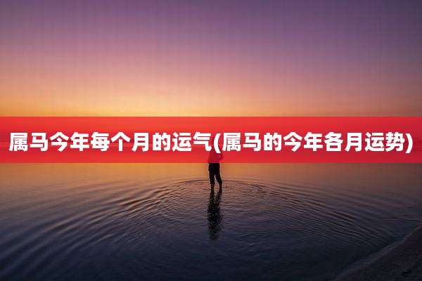 属马今年每个月的运气(属马的今年各月运势)
