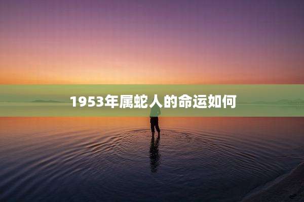 1953年属蛇人的命运如何