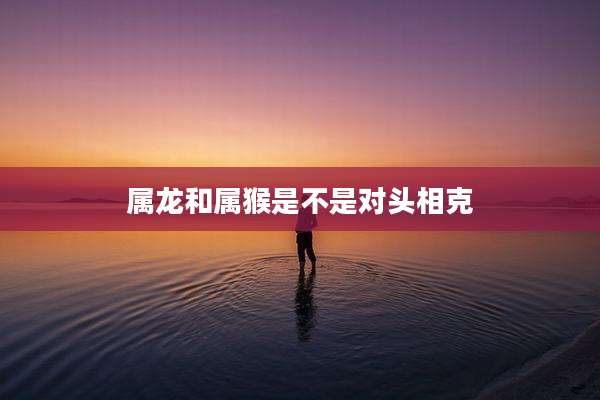 属龙和属猴是不是对头相克