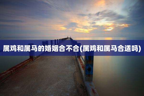 属鸡和属马的婚姻合不合(属鸡和属马合适吗)
