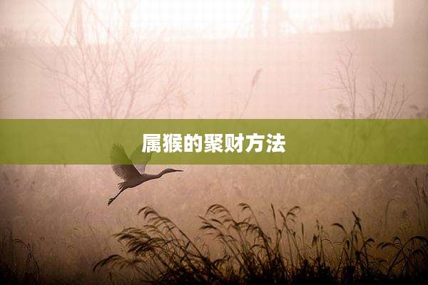 属猴的聚财方法