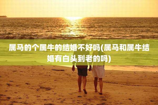 属马的个属牛的结婚不好吗(属马和属牛结婚有白头到老的吗)