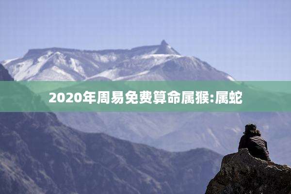 2020年周易免费算命属猴:属蛇