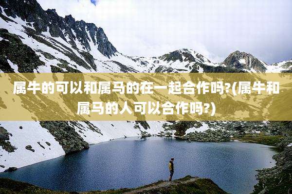 属牛的可以和属马的在一起合作吗?(属牛和属马的人可以合作吗?)