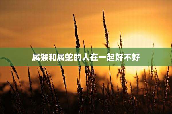 属猴和属蛇的人在一起好不好