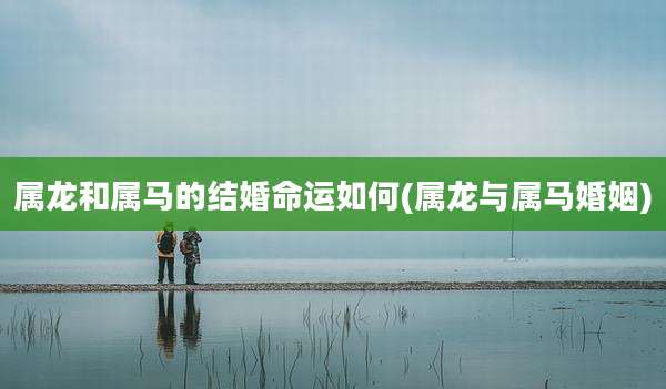 属龙和属马的结婚命运如何(属龙与属马婚姻)