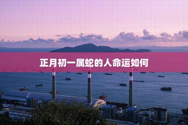 正月初一属蛇的人命运如何
