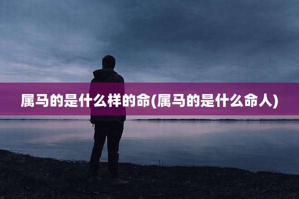 属马的是什么样的命(属马的是什么命人)