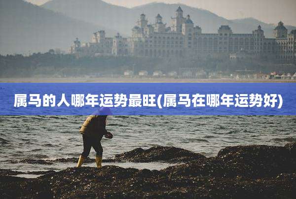 属马的人哪年运势最旺(属马在哪年运势好)