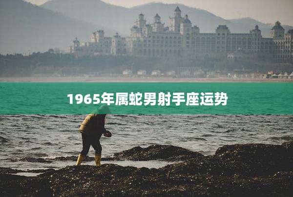 1965年属蛇男射手座运势