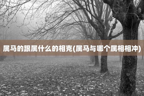 属马的跟属什么的相克(属马与哪个属相相冲)