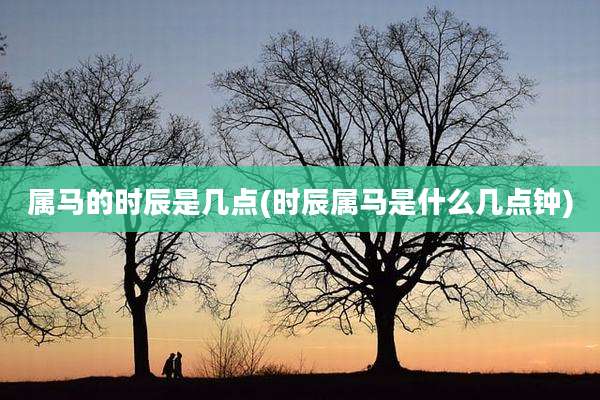 属马的时辰是几点(时辰属马是什么几点钟)