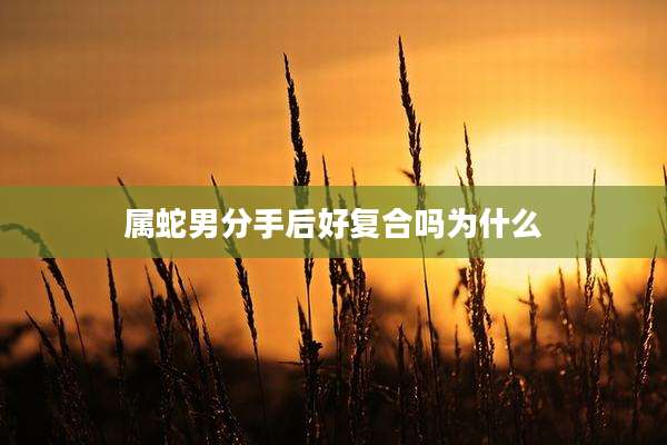 属蛇男分手后好复合吗为什么