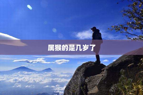 属猴的是几岁了