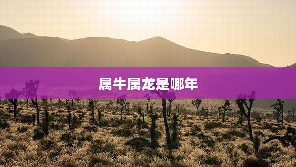 属牛属龙是哪年