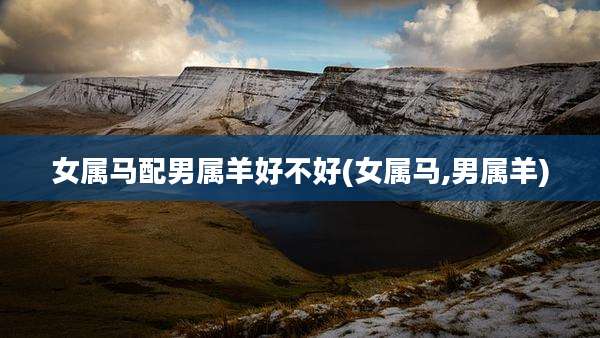 女属马配男属羊好不好(女属马,男属羊)