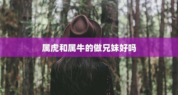 属虎和属牛的做兄妹好吗