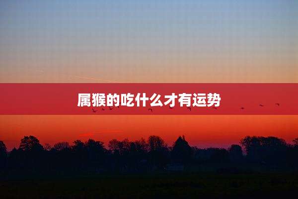 属猴的吃什么才有运势