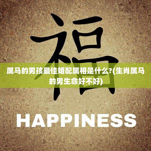 属马的男孩最佳婚配属相是什么?(生肖属马的男生命好不好)