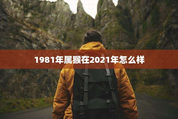 1981年属猴在2021年怎么样
