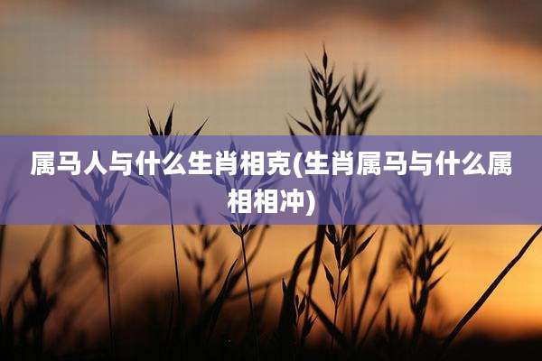 属马人与什么生肖相克(生肖属马与什么属相相冲)