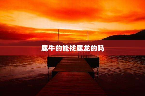 属牛的能找属龙的吗