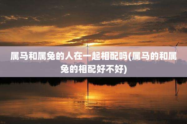 属马和属兔的人在一起相配吗(属马的和属兔的相配好不好)