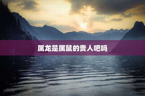 属龙是属鼠的贵人吧吗