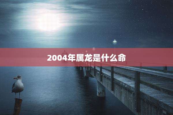 2004年属龙是什么命
