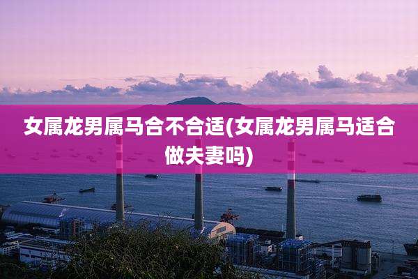 女属龙男属马合不合适(女属龙男属马适合做夫妻吗)