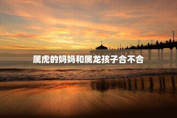 属虎的妈妈和属龙孩子合不合