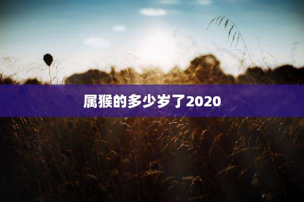 属猴的多少岁了2020